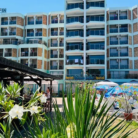 酒店 海豚酒店 阳光海滩