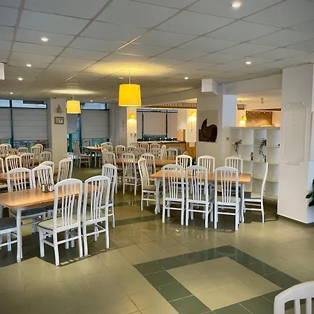 海豚酒店 阳光海滩