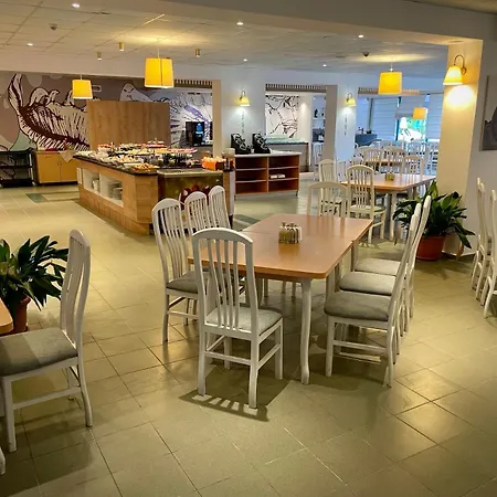 酒店 海豚酒店 3*