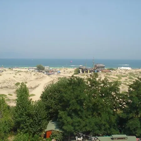 海豚酒店 酒店 阳光海滩