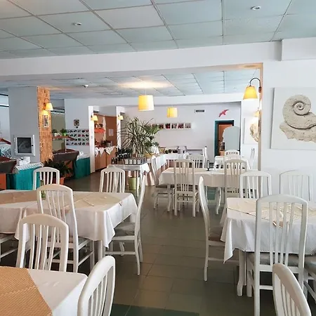 海豚酒店 3* 阳光海滩